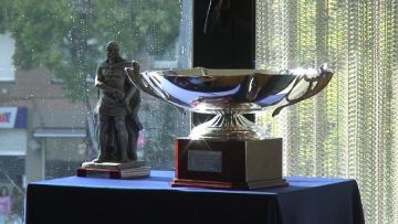 Imatge dels dos trofeus