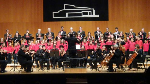 El concert ha tingut lloc al Teatre-Auditori / Foto: Cugat.cat