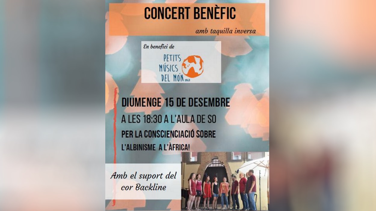 Concert benèfic en suport de Petits Músics del Món