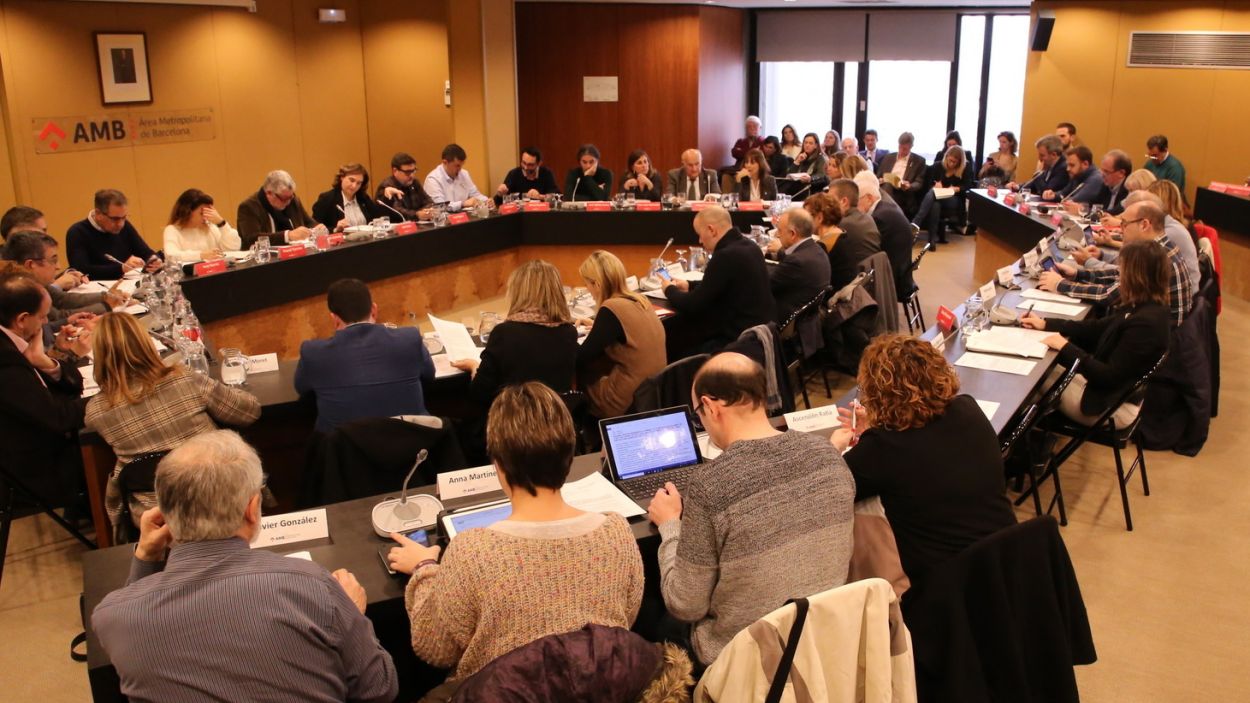 Imatge de la sessió del Consell / Foto: AMB