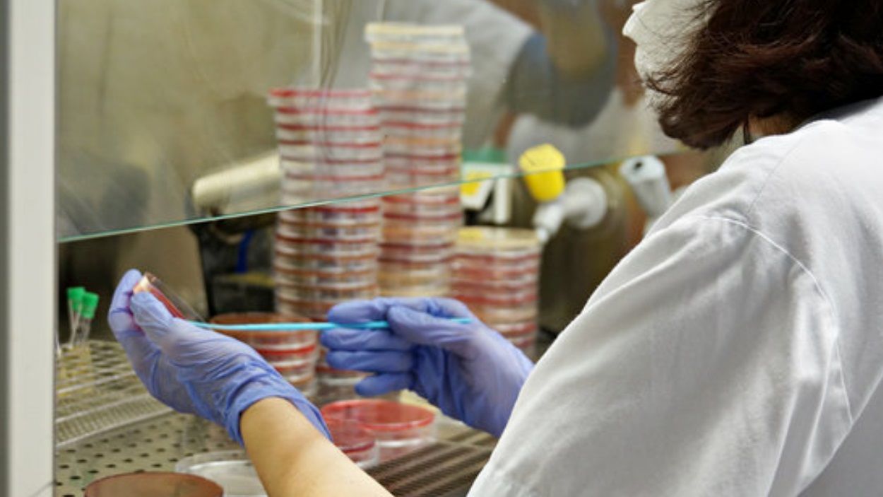 Un laboratori on agafen mostres de coronavirus / Foto: ACN