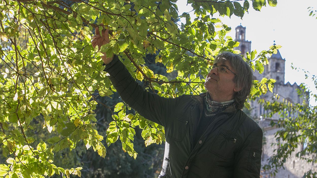 Jordi Torrijos ha estat gairebé 40 anys a l'àrea de Parcs i Jardins de l'Ajuntament / Foto: Lluís Llebot