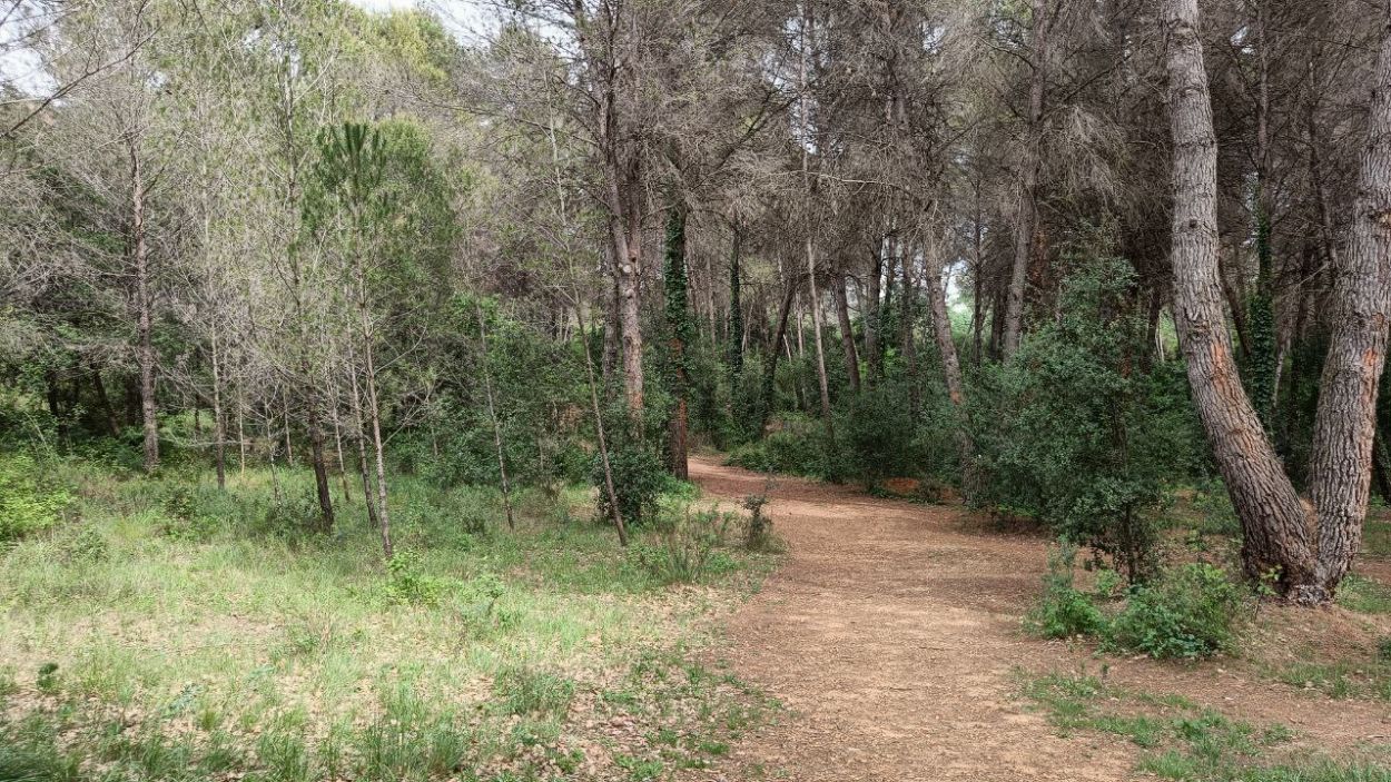 Imatge del parc del Bosc de Volpelleres / Foto: Cugat Mdia