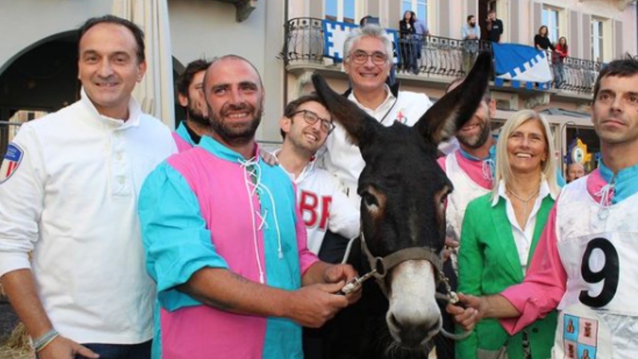 L'ase guanyador del Palio degli Asini de la ciutat d'Alba / Foto: @citta_di_alba