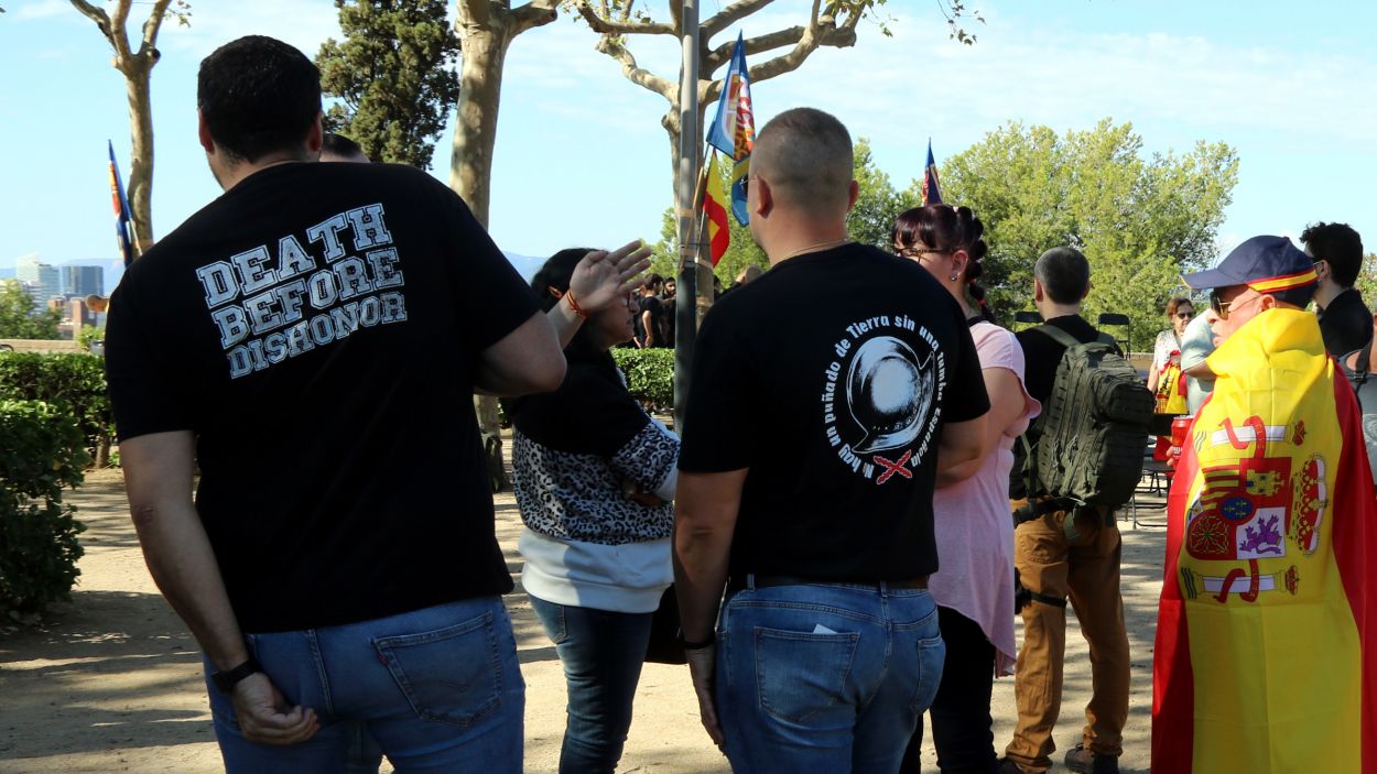 Imatge de la manifestació d'extrema dreta del 12 d'octubre passat a Barcelona / Foto: ACN
