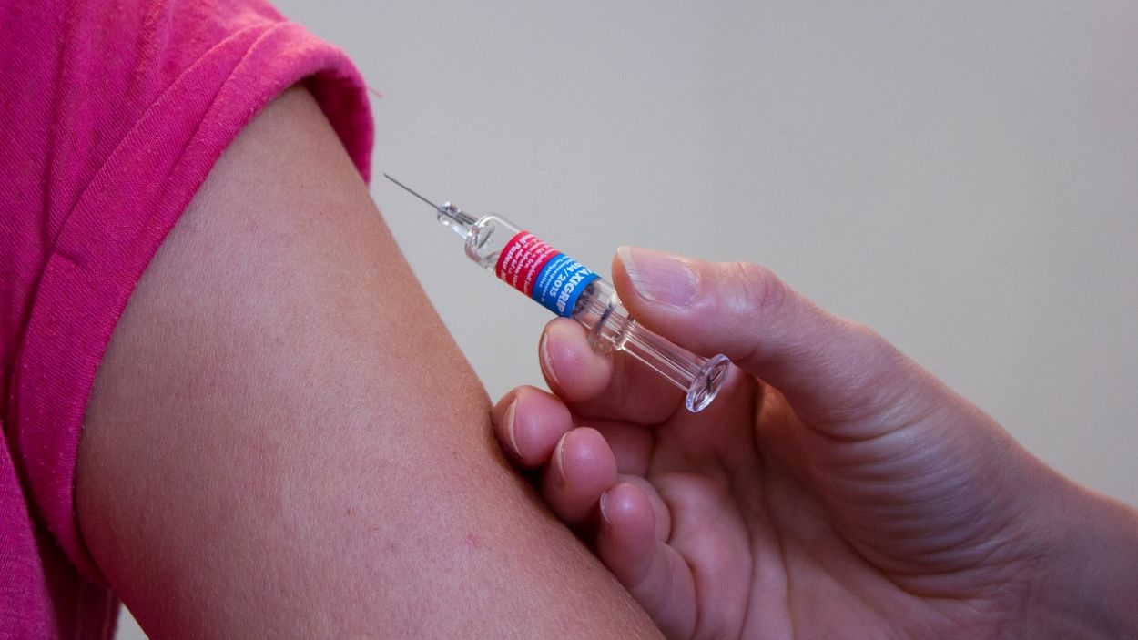 La vacuna s'aplicarà a partir dels sis mesos i fins els cin anys / Foto: Pixabay