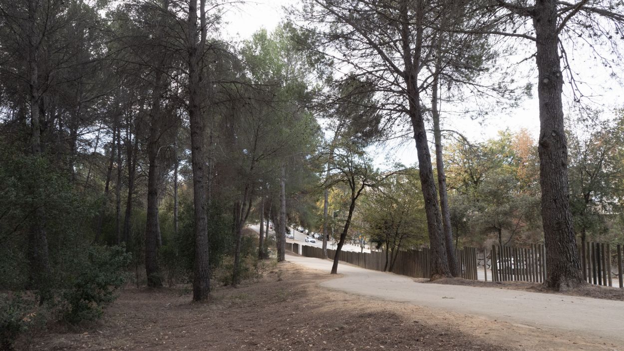 Junts ja no considera prioritària la ubicació del bosc de Volpelleres per construir l'edifici de La Mirada / Foto: Lluís Llebot (Cugat Mèdia)