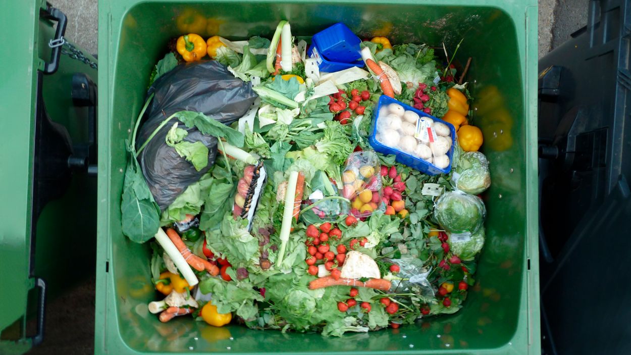 Verdures i fruites malbaratades a la brossa d'un supermercat / Foto: Viquipèdia Commons