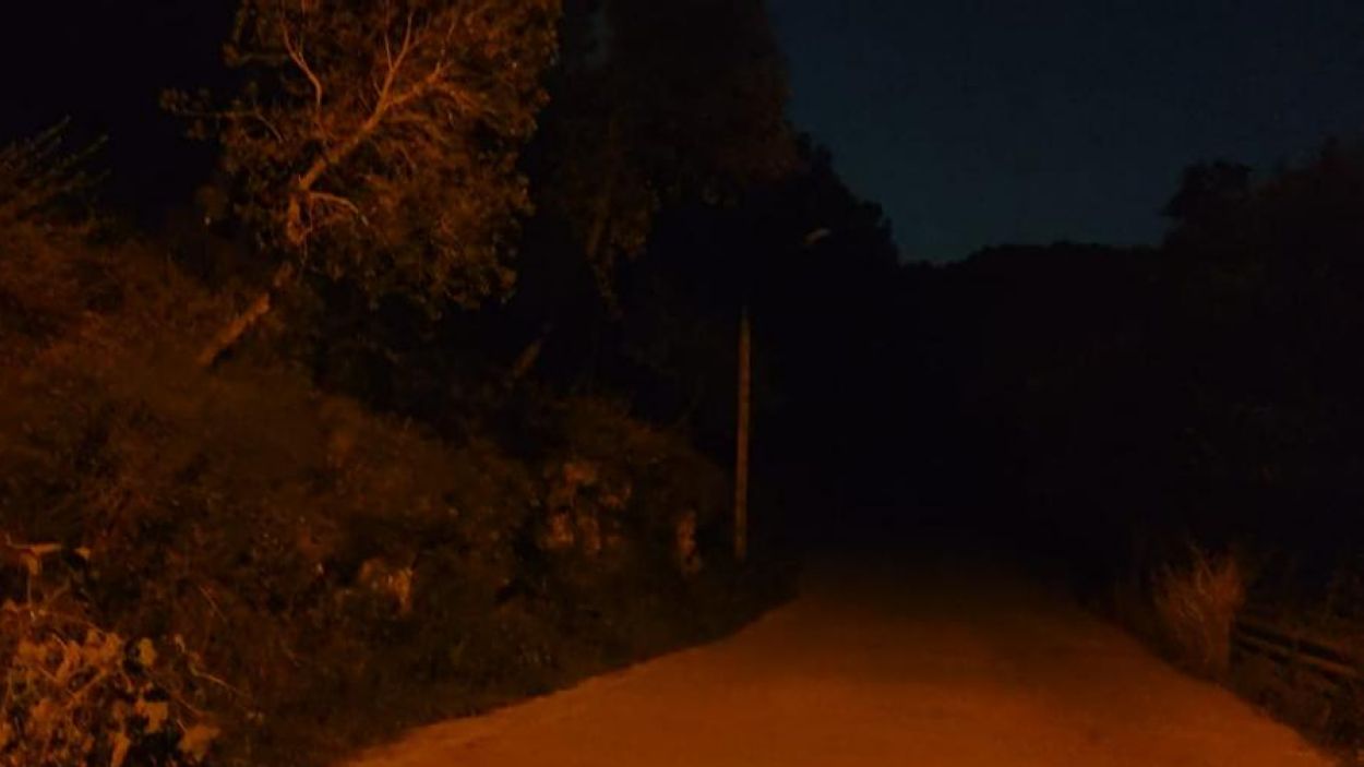 El passeig Torrent de les Planes de nit / Foto: Cedida