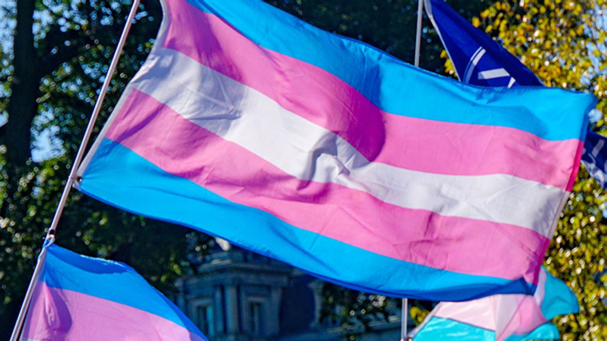 Imatge d'arxiu de la bandera trans / Foto: Ted Eytan (CC)