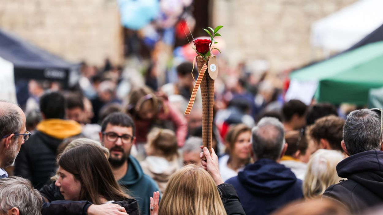 La rosa, una de les protagonistes de Sant Jordi / Foto: Lali Puig (Ajuntament)
