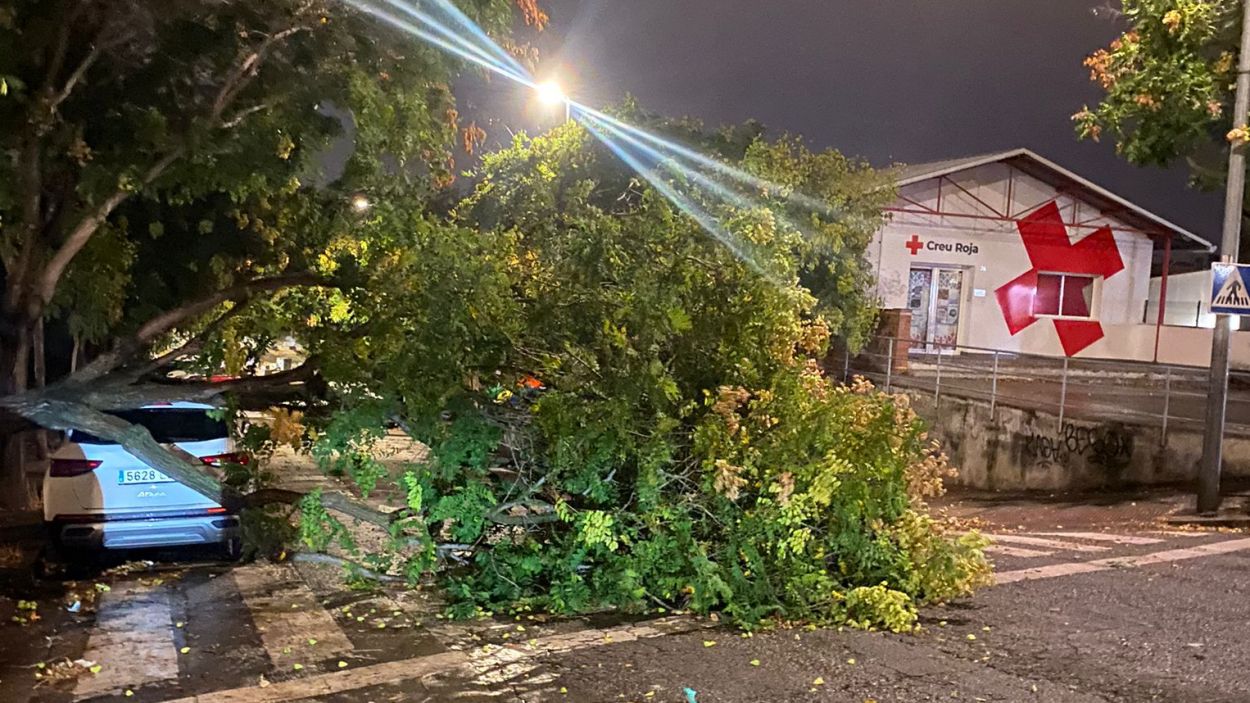 Caiguda d'un arbre al carrer de Sant Juli