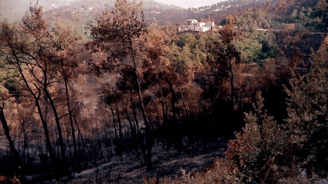 Tur de La Floresta cremat desprs de l'incendi del 1994