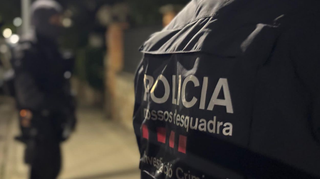 Imatge d'arxiu d'un dispositiu policial dels Mossos d'Esquadra / Foto: Mossos