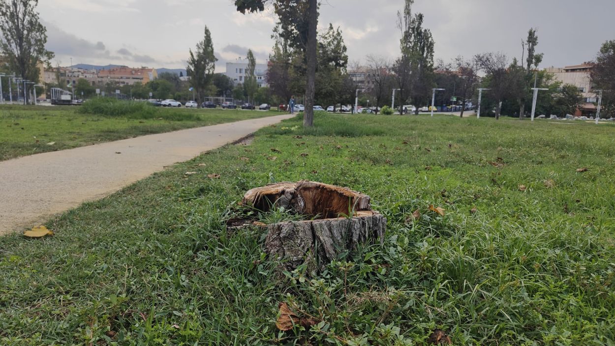 Un calcinal al parc de Can Vernet / Foto: Cugat Mdia