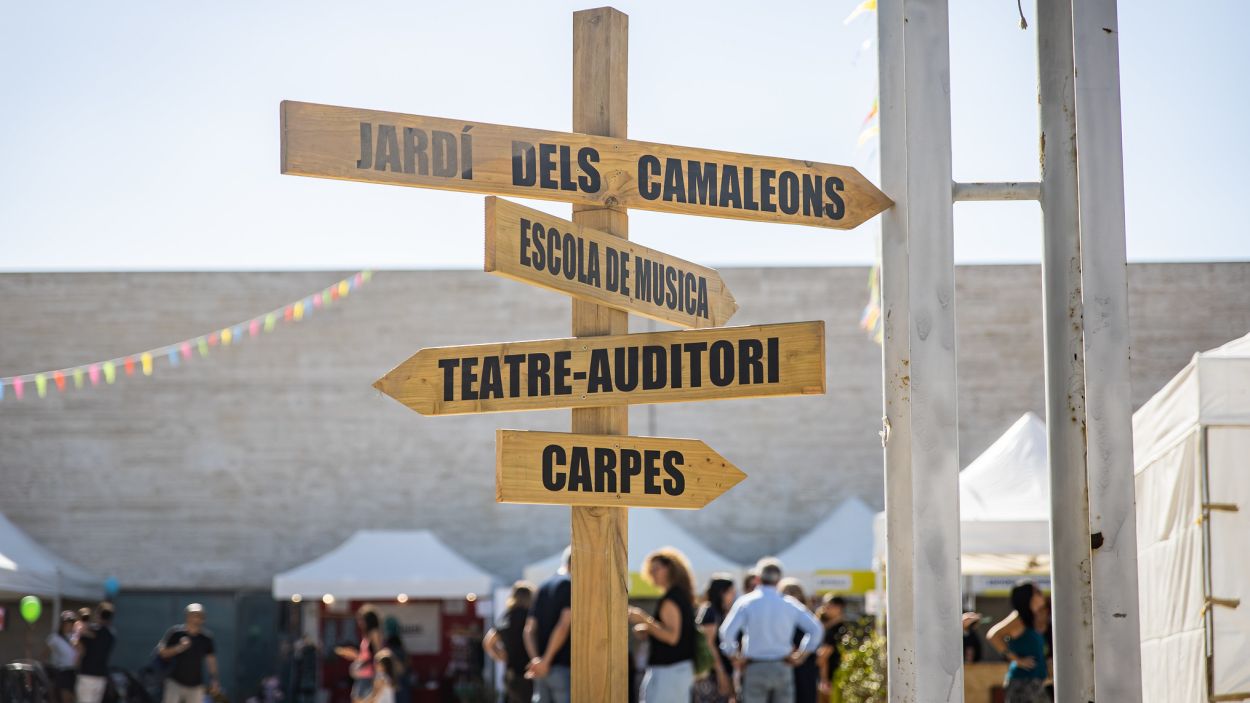 Cartells indicatius del Festival Petits Camaleons