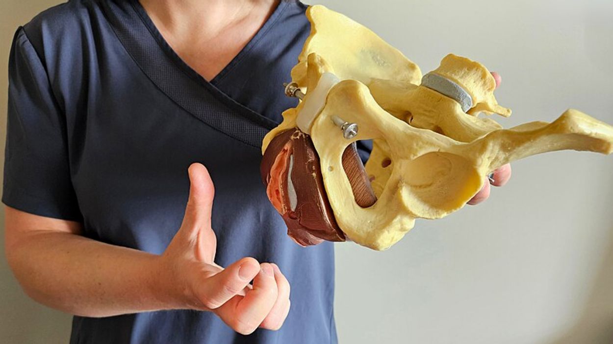 Una professional amb una maqueta d'una pelvis humana / Foto: CC by 4.0 MelConfidentiel