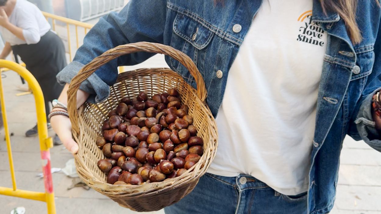 Les castanyes: el producte que no pot faltar si ets dels qui celebra la castanyada / Foto: Cugat Mdia