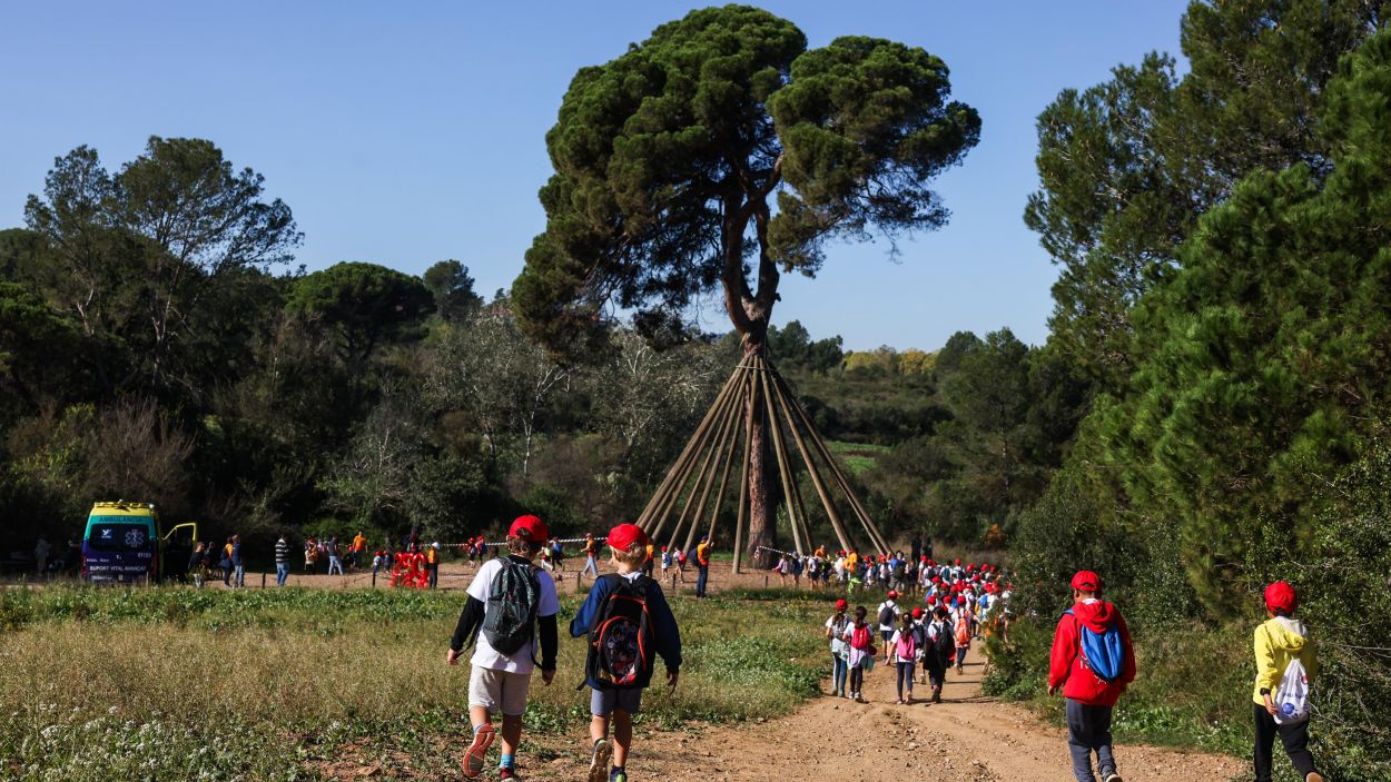 La Marxa Infantil, al pas pel pi d'en Xandri / Foto: Ajuntament de Sant Cugat