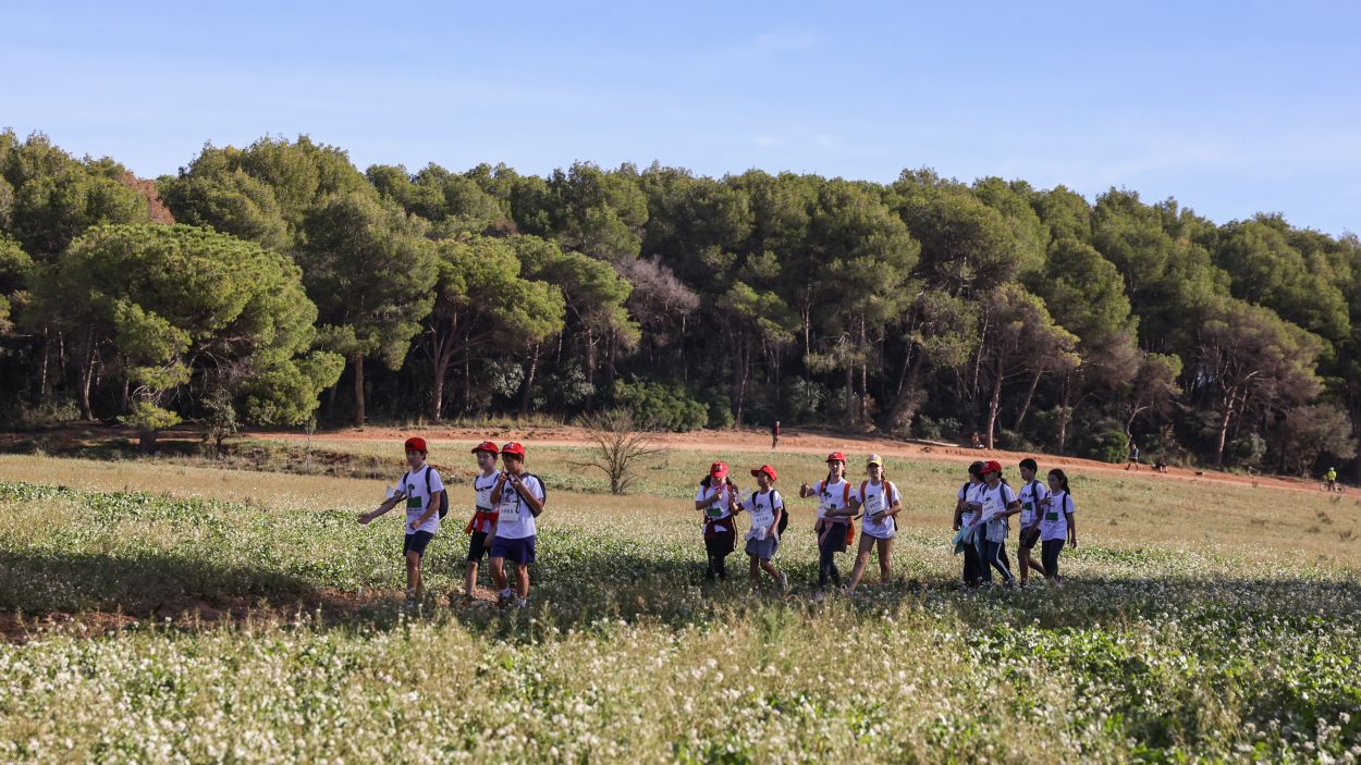 Imatge de la Marxa d'aquest any / Foto: Ajuntament