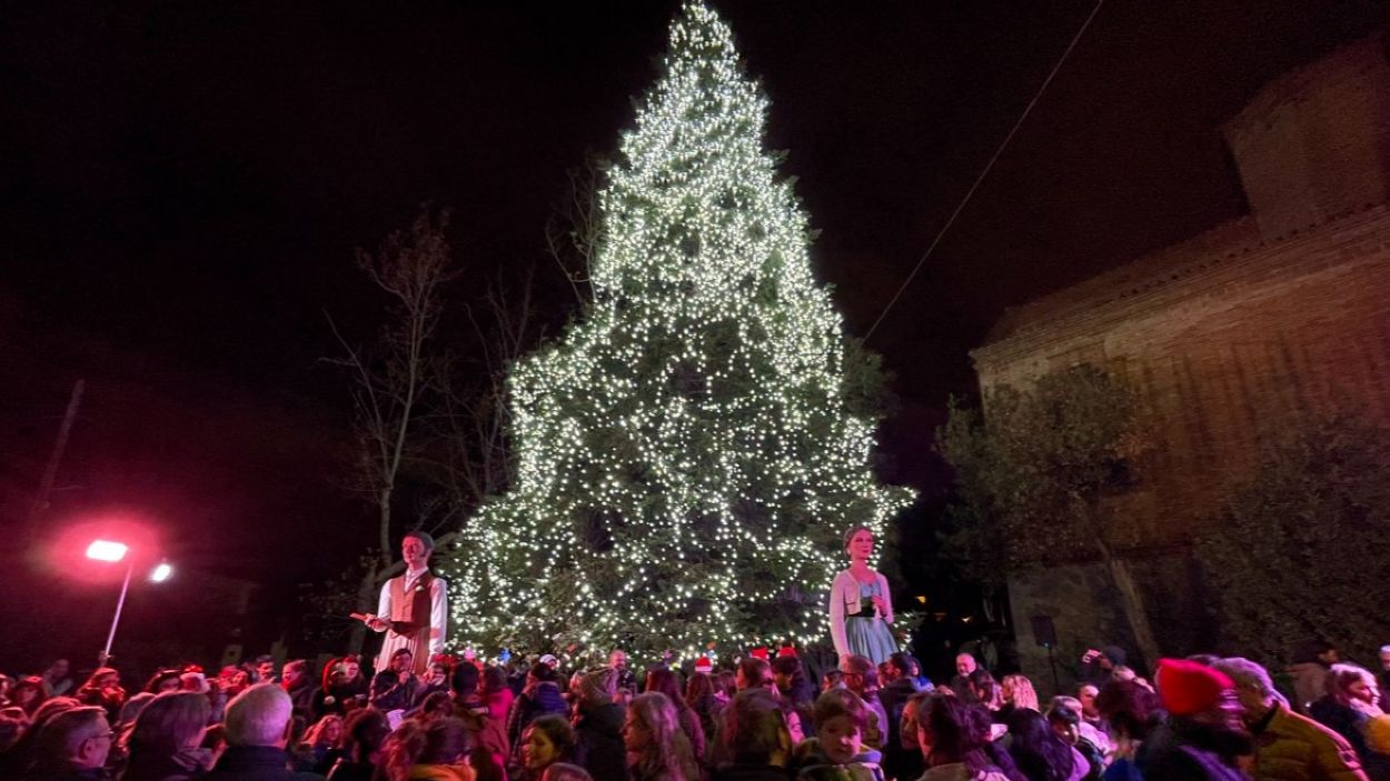 Encesa de l'Arbre de Nadal de l'Any passat / Foto: EMD