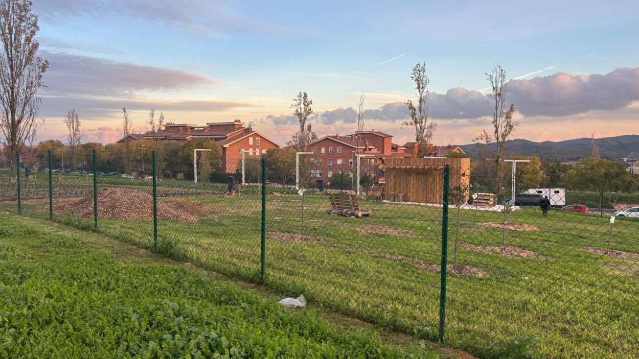 Els horts urbans a la zona del parc de la creu del terme de Coll Fav / Foto: Cugat Mdia