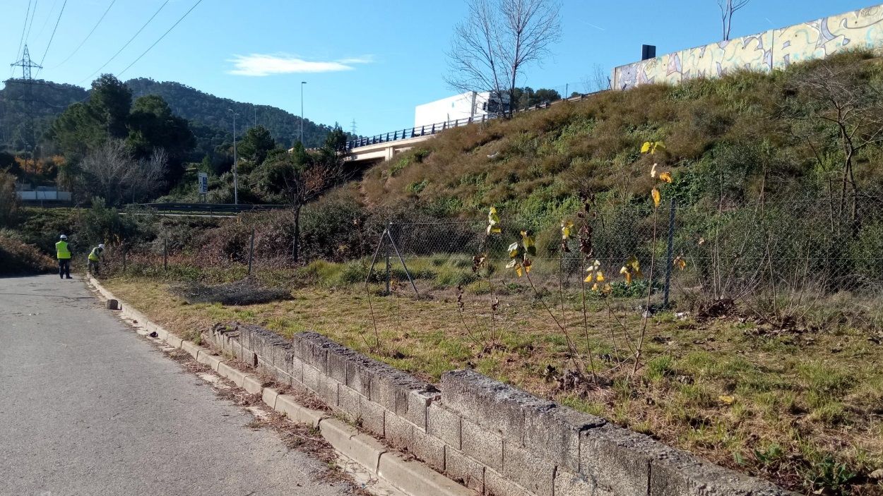 Dos operaris fent les tasques de desbrossament per poder iniciar la represa de les obres per posar les pantalles acstiques / Foto: Premsa Ajuntament