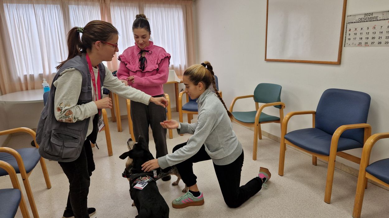 Una sessi de terpia assistida amb un gos / Foto: Cedida Hospital Universitari MtuaTerrassa