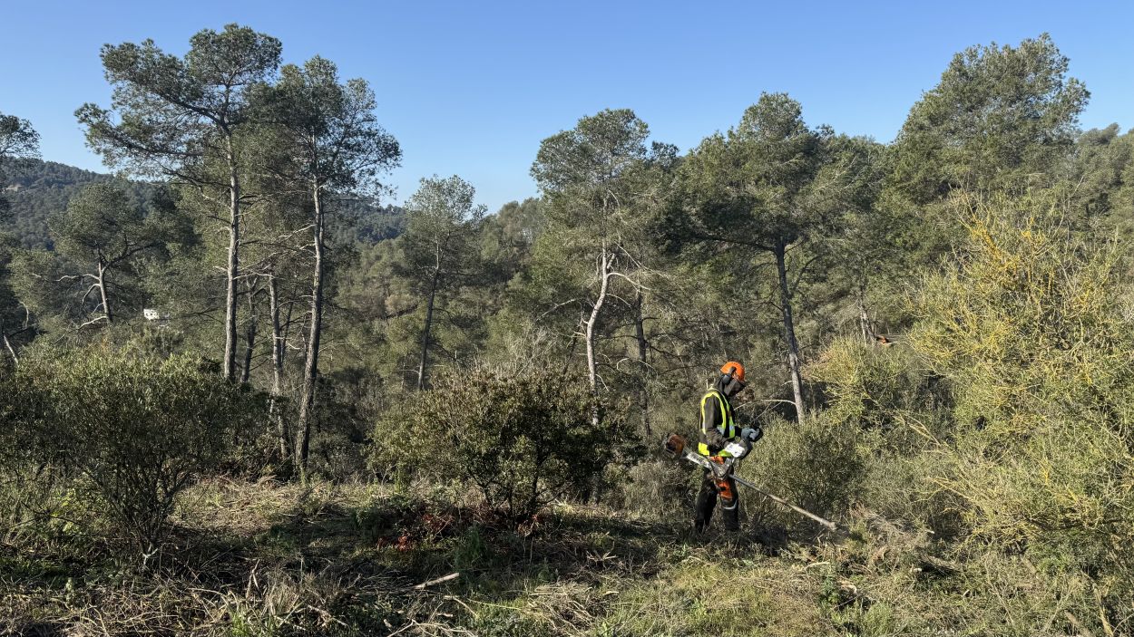 Punt estratgic de gesti de Mas Fuster / Foto: Llus Llebot- Cugat Mdia