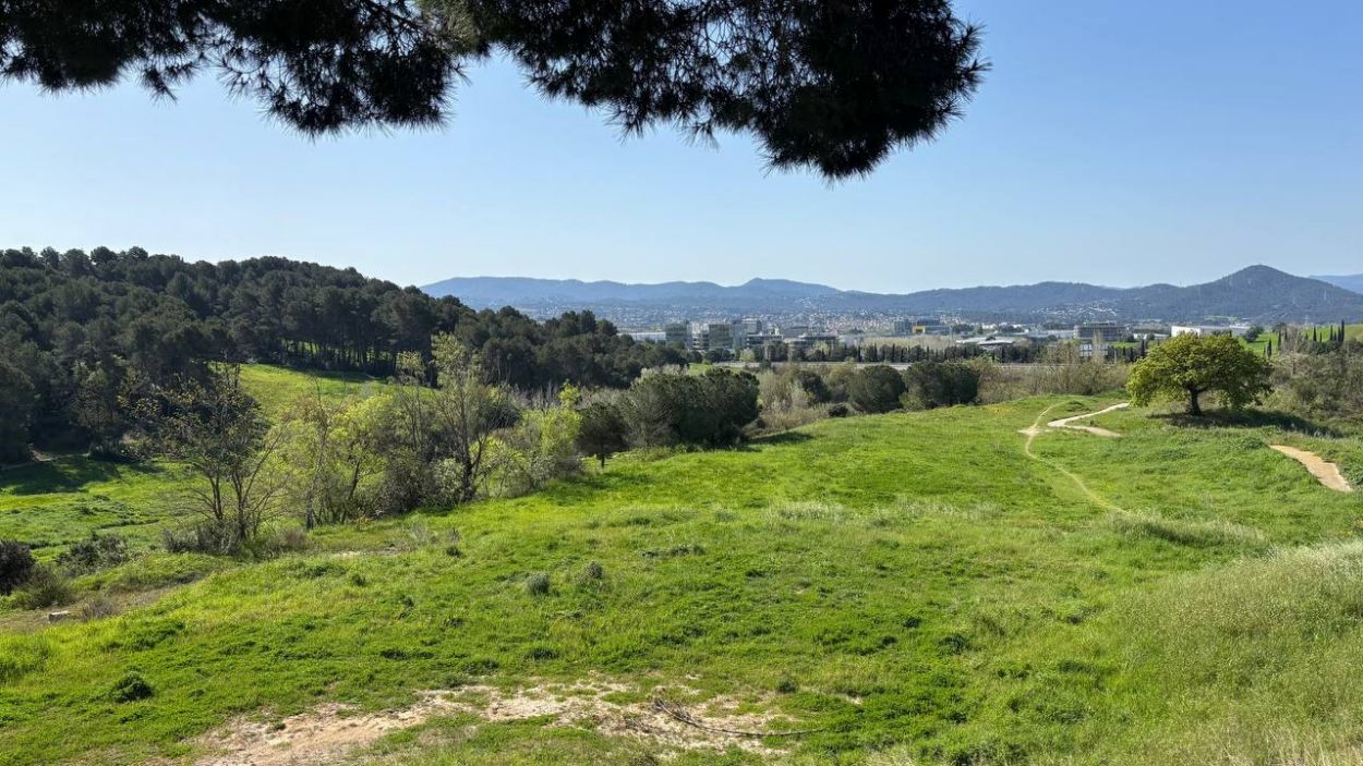 Imatge del camp de golf de Sant Joan, amb Sant Cugat al fons Imatge del camp de golf de Sant Joan, amb Sant Cugat al fons