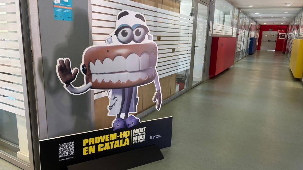 El Servei Local de Català obre quatre nous cursos per respondre a la demanda creixent