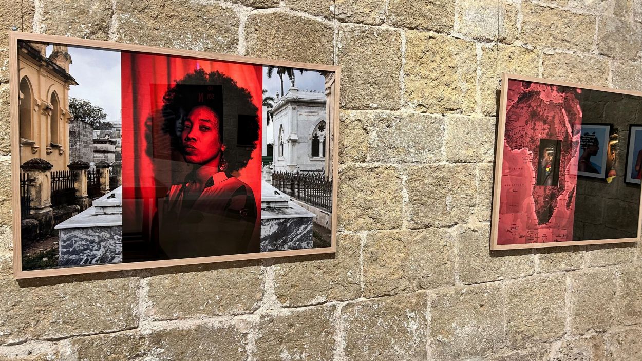 'Pelo malo' de Nuria López es pot veure a la Sala Capitular del Museu del Monestir 'Pelo malo' de Nuria López es pot veure a la Sala Capitular del Museu del Monestir