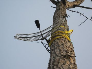 Antena instal·lada al districte de la Floresta