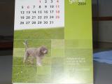El calendari del 2004 recull 12 propostes de sostenibilitat