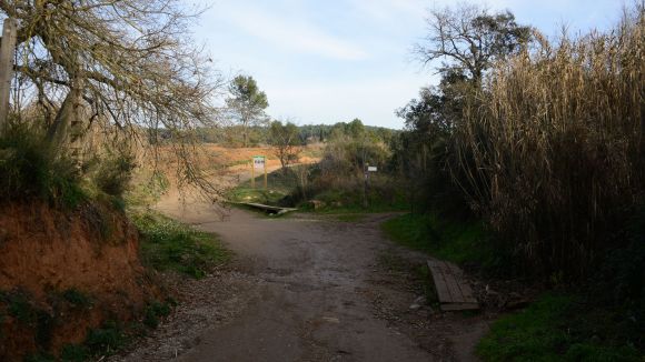 El camí del Pi d'en Xandri és un dels més emblemàtics de la ciutat / Foto: Localpres