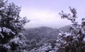 Les carreteres de Vallvidrera i de la Rabassada es tallen durant algunes hores a causa de la  nevada