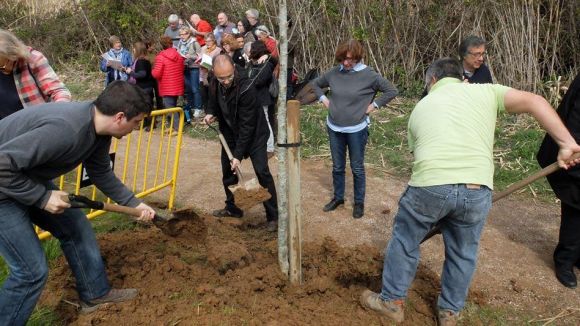 La festa servirà per plantar arbres / Foto: Associació de Veïns i Veïnes Progressites de Valldoreix