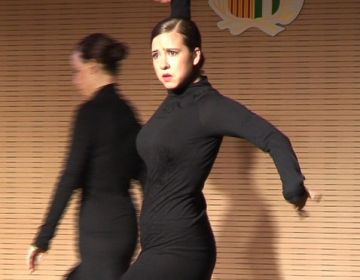 Moment de la mostra de flamenc