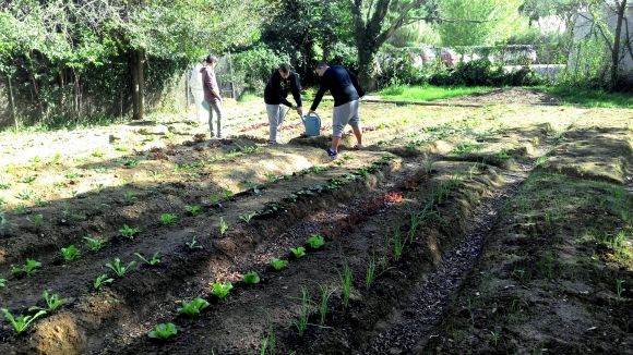 Imatge de l'hort urb a l'Institut Arnau Cadell a Valldoreix