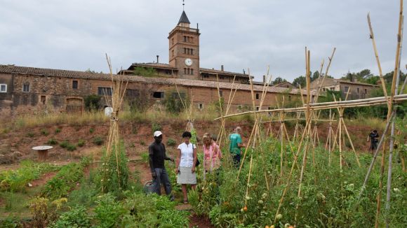 Horts urbans de Can Montmany / Font: Localpres