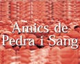 12-04-05 AMICS DE PEDRA I SANG