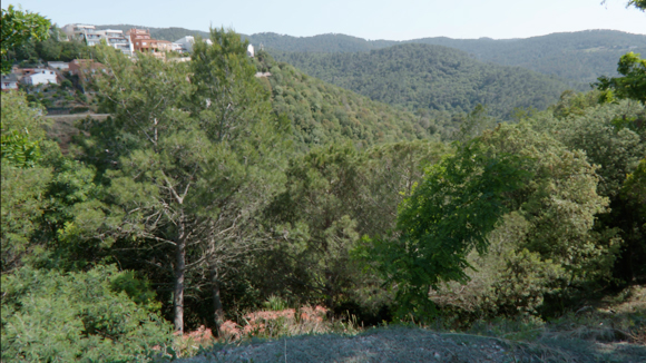 30 anys incendi Collserola