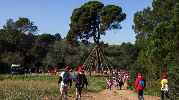 La Marxa Infantil ret homenatge als 250 anys de vida del Pi d'En Xandri