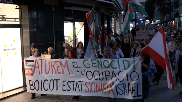 Manifestaci Palestina