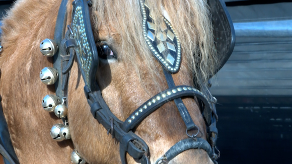 Polmica Tres Tombs