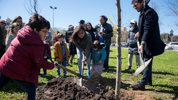 /fotos/imgtv/250329-plantada-arbres.jpg