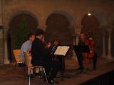 El Mozarteum Quartet de Salzburg ha aplegat ms de 300 persones en l'ltim concert del cicle