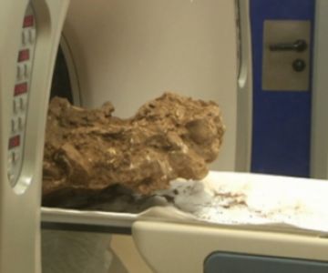 Les restes de l'esquelet de neandertal en entrar dins la mquina de tomografia. / Font: 3cat24