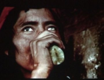 Una imatge del curtmetratge 'Coyera', projectat al festival