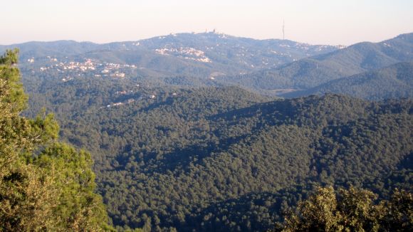 El Parc Natural de la Serra de Collserola forma part de la Xarxa de Parcs Naturals de la Diputació de Barcelona / Foto: Premsa Sant Cugat